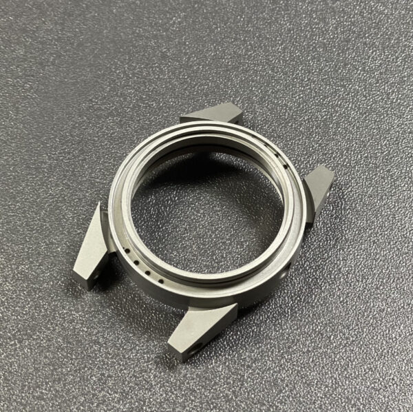 Sandblasted watch case